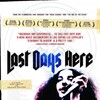 Last Days Here 2011 1080p AMZN WEB-DL DDP2 0 H 264-TEPES thumb