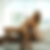 [BlackIsBetter.com / Babes.com] Melissa Moore (Sex Tape / 31.01.2017) [Brunette, Blowjob, Facial, POV, IR, Hardcore, 720p, HDRip] thumb
