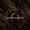 A Perfect Circle: Stone and Echo [2013] / H264 / MKV / DVD / SD / FLAC / HANDJOB thumb