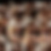exploitedblackteens_aryana thumb