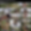 [VivThomas] Lovely View (2021-11-23) [Foxy Alissa, Hayli Sanders] [1080p] thumb