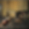 [BDSM]    ( , 