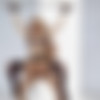 [TheWhiteBoxxx.com / LetsDoeIt.com] Marilyn Crystal (Lovely babe tied up and fucked passionately) [25.04.2020, Blonde, Blowjob, Cumshot, Fetish, Sex Toys, Hardcore, Cum in Mouth, Vibrator, Doggystyle, 1080p] thumb