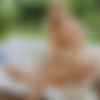 [Slayed.com] Nancy Ace & Eva Elfie - Easy Breezy Beautiful [2023-01-10, Dildo, Lesbian, Natural Tits, Russian Girls, Toys, 1080p, SiteRip] thumb