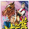 The Lady of Steel 1970 720p BluRay x264-SHAOLiN thumb